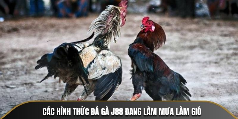 Cac-hinh-thuc-da-ga-J88-dang-lam-mua-lam-gio