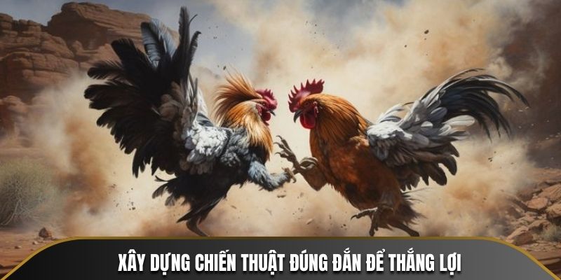 Xay-dung-chien-thuat-dung-dan-de-thang-loi